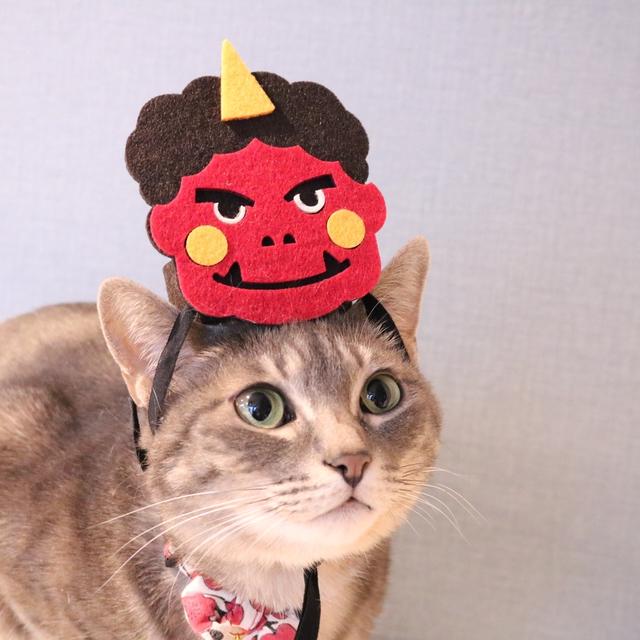 我が家の猫ちゃんにご褒美がやってきた　～キャットフードのPR～
