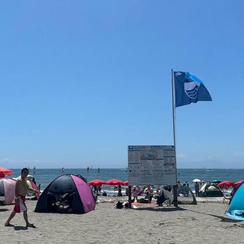 夏にやられる