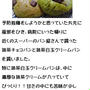 抹茶チョコパン＆抹茶白玉クリームパン