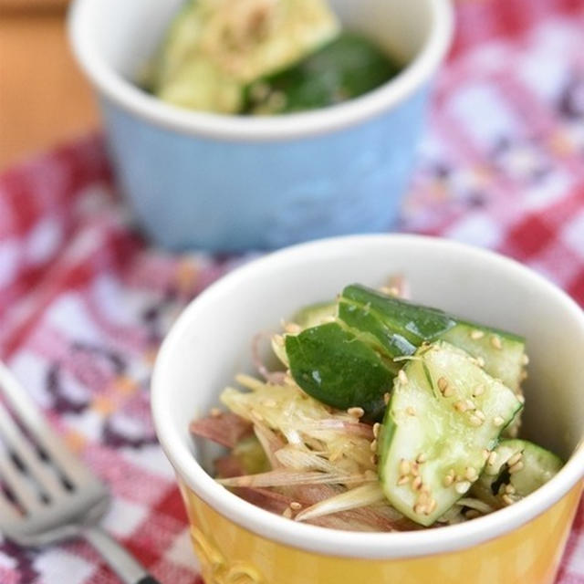 作りおきできる「薬味」が決め手の簡単副菜で暑い夏を乗り切ろう♪
