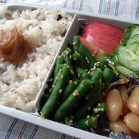 ５月２５日*昼*　いんげんの胡麻和えお弁当