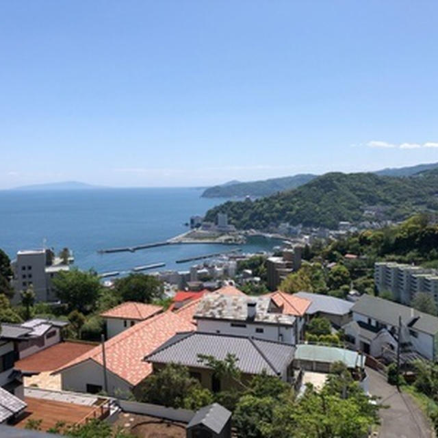 日向ぼっこちゅー