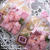 桜の贈り物　＊　満開の桜