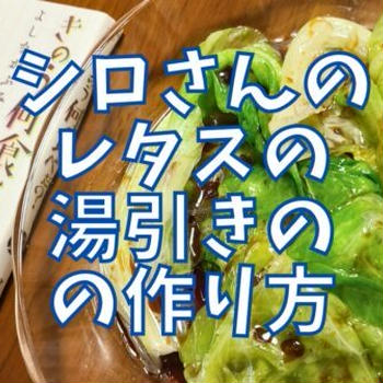 【再現レシピ】きのう何食べた?レタスの湯引きの作り方を写真付きで解説!