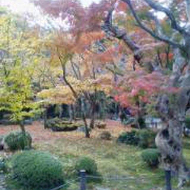 ☆京都の紅葉：圓光寺☆