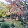 ☆京都の紅葉：圓光寺☆