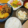 こなつも食べるようになりました！肉じゃが晩御飯。