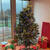 Sebastopolでのクリスマス＿2023