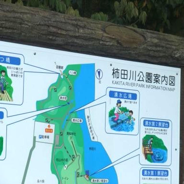 名物だって、美味７：柿田川の豆腐アイス