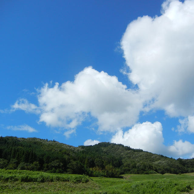 令和元年、おめでとうございます。