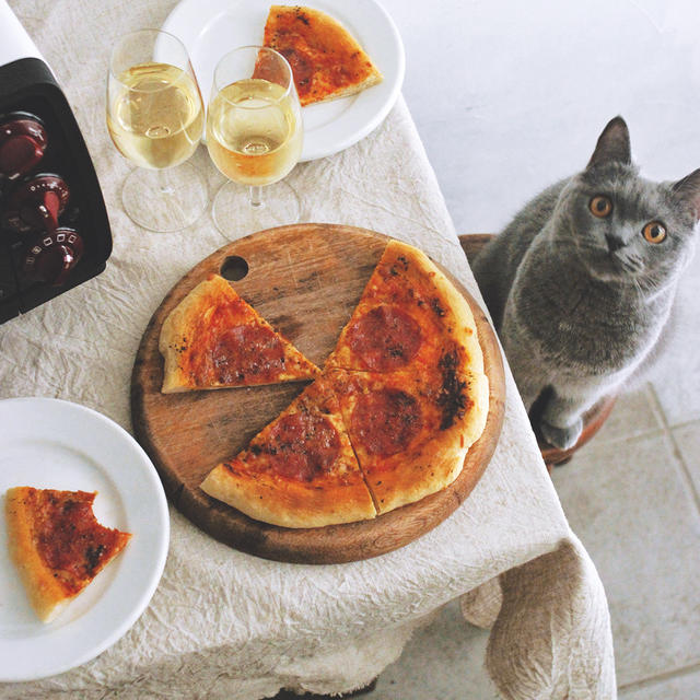 Pizza &amp; Cat