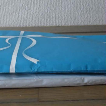 お届けもの★久しぶりのタワー