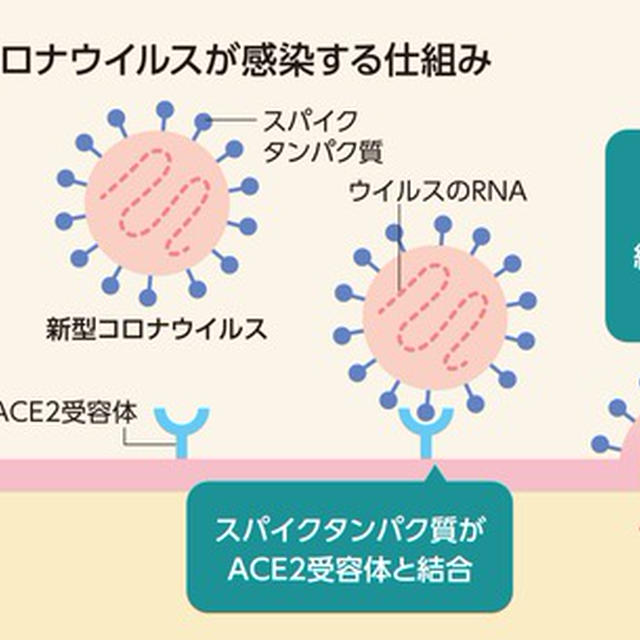 コロナワクチンの接種券が届いたんですけど・・・#3