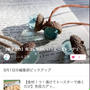 【ご報告】みりん漬けささみのホイル焼きが8/1暮らしニスタ編集部ピックアップ掲載❤︎感謝