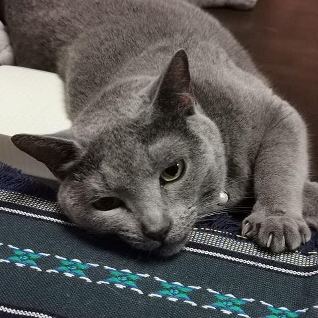 テンション高くなりすぎて...
