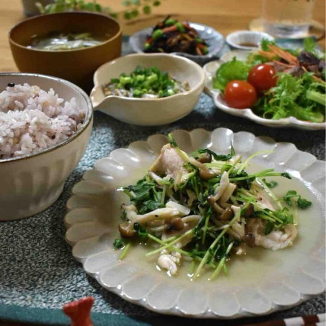 【レシピ】むね肉と豆苗の塩にんにく炒め✳︎簡単✳︎筋力アップ✳︎