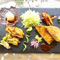 梅紫蘇トンカツと梅紫蘇とんぷら2種盛りプレート╰(*´︶`*)╯♡