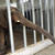 続：えっ！？っていう動物園（しろとり動物園の話）