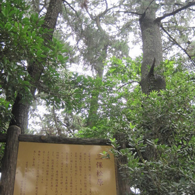 夏休み旅行記～前半～