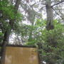 夏休み旅行記～前半～