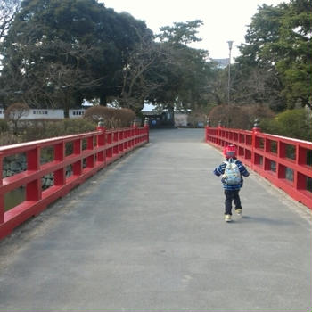 小田原城址公園の豆汽車に乗りました