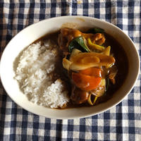 下仁田ねぎの手羽元カレー
