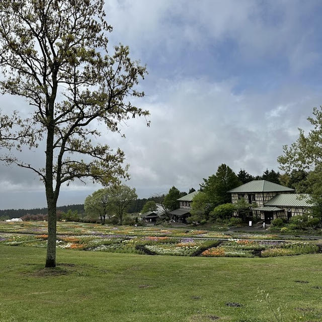 旧姓家族旅行④最終話：くじゅう花公園と阿蘇で絶品ピザランチと、ジム帰りの晩ごはん
