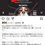 ”11/6　キャバリアの祭典　FUJI DOG　に参加します♪”