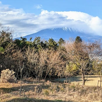 メゾンケイ（御殿場）