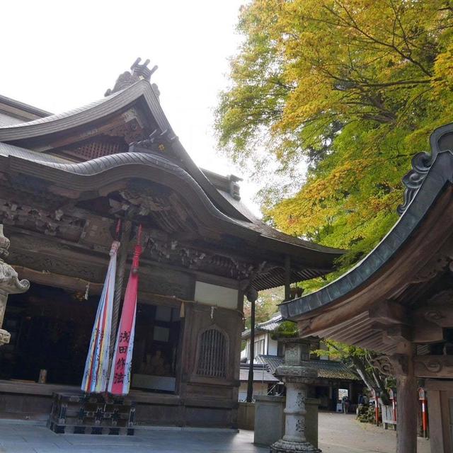 妙見山本瀧寺#最近撮った写真は