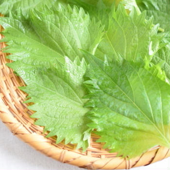 作ってみた＊紫蘇の冷凍保存