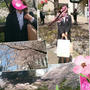 桜と娘の入学式