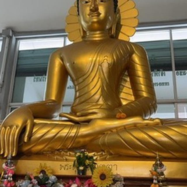 53歳今が青春（多分・・・  อายุ 53 ปี ตอนนี้เป็นวัยรุ่นแล้ว (น่าจะ...