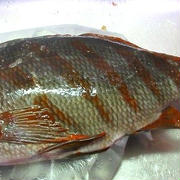 タカノハダイ、メジナの魚田