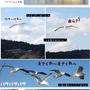 ■ウミネコ物語■松島の旅・前編(・∀・)