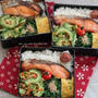 今日のbento♪