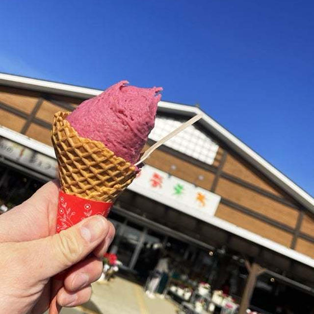 地産地消・地場野菜とシャーベット