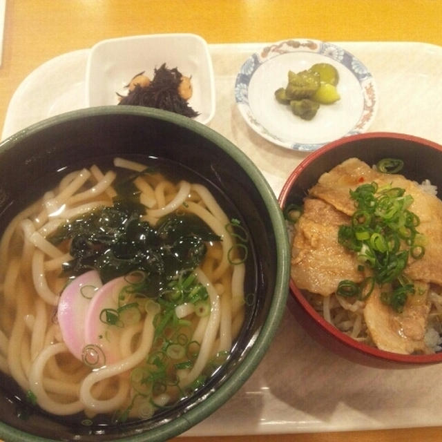 外ランチ★一足早い春の訪れ～ 介護とは。