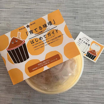 今年も参加！育てる味噌