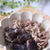 冷やしても美味しい！豚肉と茄子のつゆだく煮（監修記事のお知らせ）