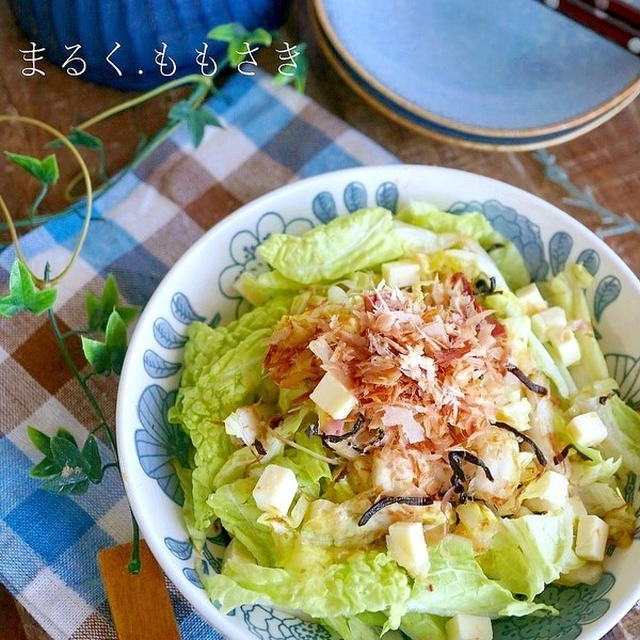 白菜消費にぴったり♪「和風サラダ」のおすすめレシピに掲載他＆GW初日