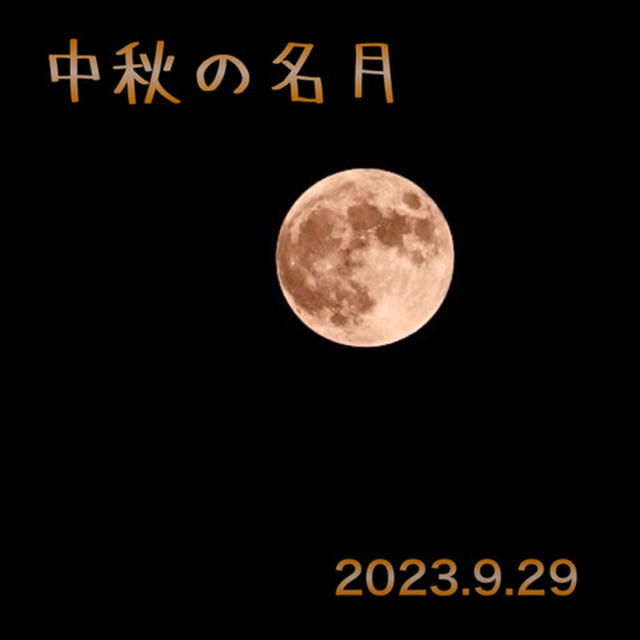 愛犬と愛でる中秋の名月２０２３