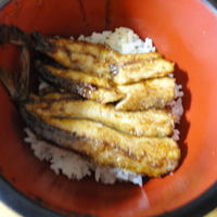 いわしのかば焼き風丼