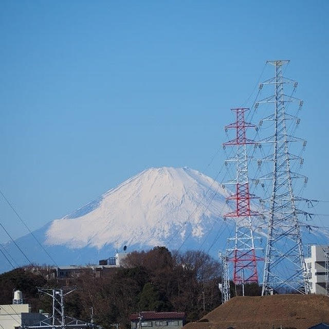 今日の富士山めっちゃキレイ♪ / 出がらし