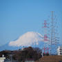 今日の富士山めっちゃキレイ♪ / 出がらし