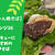 100種のマルちゃん焼そば～アレンジ25　BBQ焼きそばのおすすめの食べ方　How to enjoy BBQ Fried Noodles