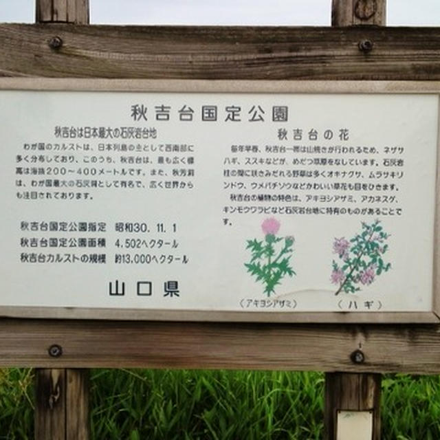 神秘で雄大な秋吉台と冒険気分の秋芳洞♪～♪
