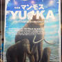 ☆マンモスYUKA展☆
