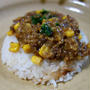 懐かしのドライカレー
