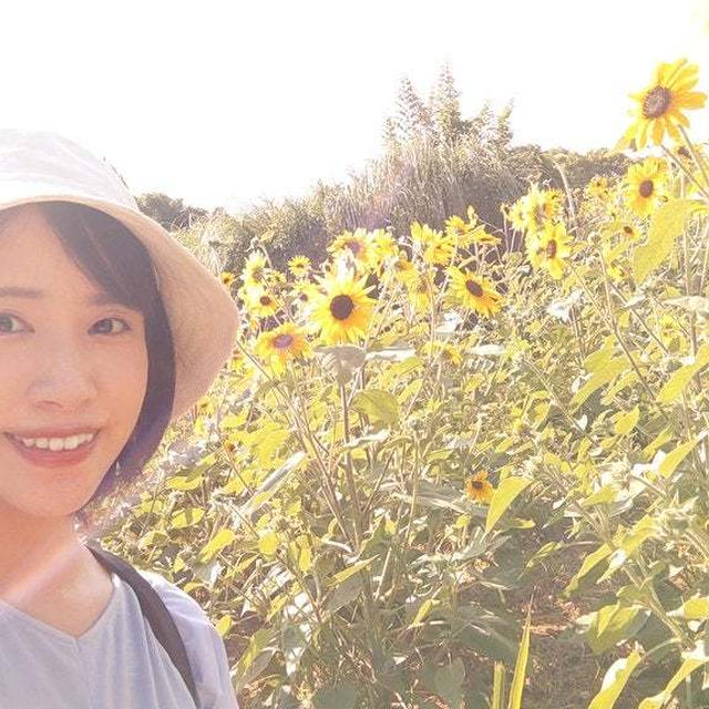 【コラム更新】夏のお散歩  スマホ熱中症にも注意